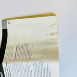 PlayStation PS one Instruction MANUAL Console SCPH-101  94015 Eng Fren Span