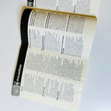 PlayStation PS one Instruction MANUAL Console SCPH-101  94015 Eng Fren Span