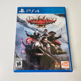 Divinity: Original Sin 2 II - Definitive Edition - PlayStation 4 PS4, CIB, VG