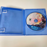 Blood & Truth (Sony PlayStation 4, 2019) PS4