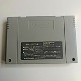 Lady Stalker SHVC-ALSJ-JPN For Super Famicom Cart Only Ntsc Japan M18